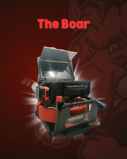 The Boar