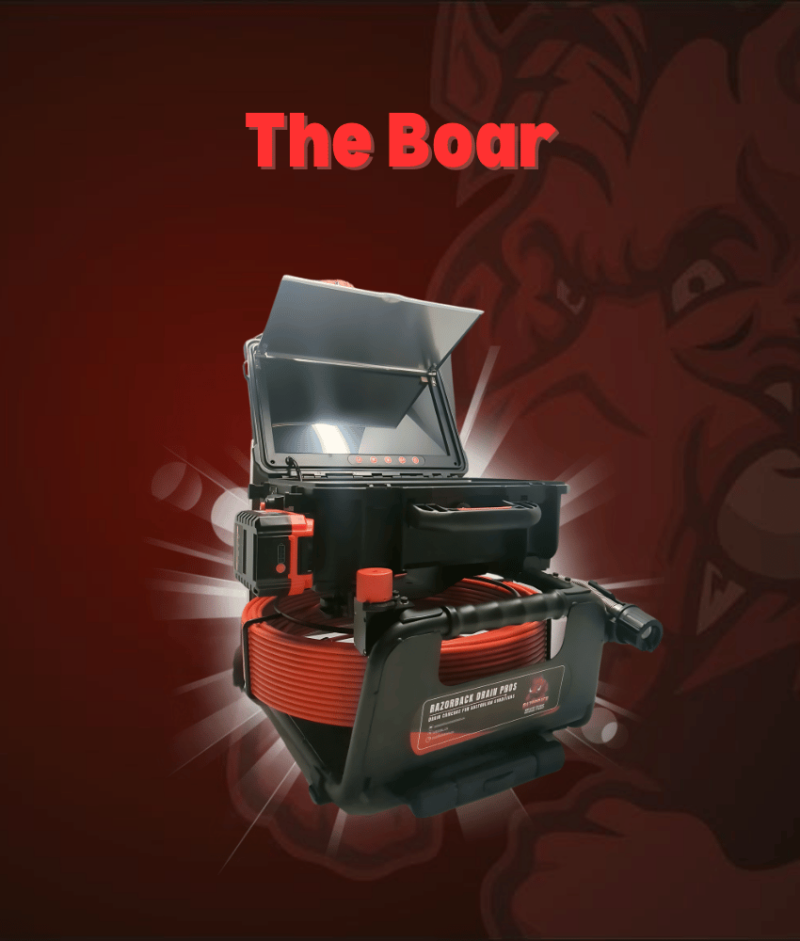 The Boar