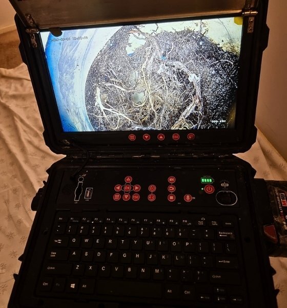 A Very Clear Picture Taken by the Razorback Drain Camera of a Tree Root Clogging a Drain