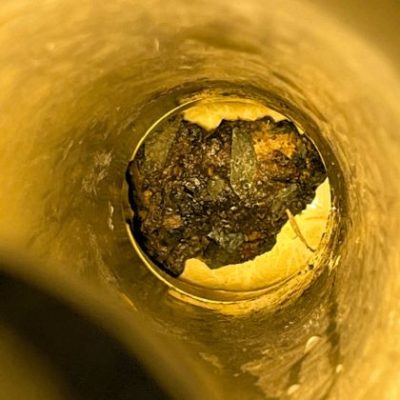 Clear images from the Razorback Drain Camera reveal cracks in the pipes.